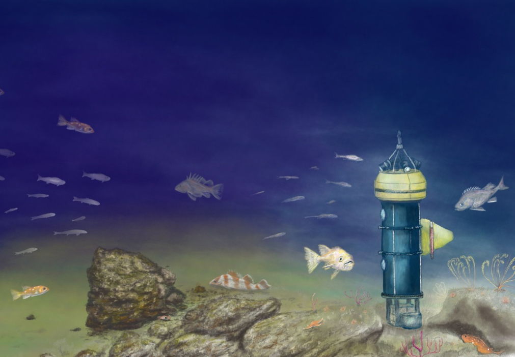 Benthic Observatory System Illustration