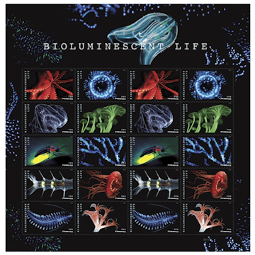 Bioluminescent Stamps705w