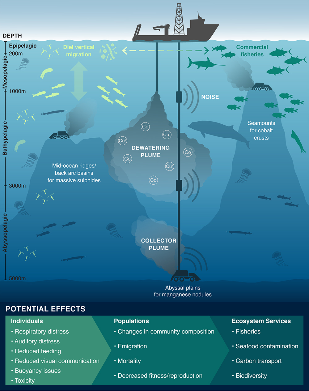 Deep-sea Life Faces Threats From Seafloor Mining — MBARI Annual Report ...