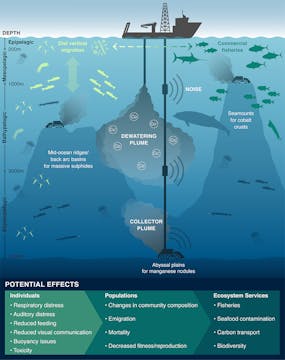 Deepsea Mining Impacts 1000