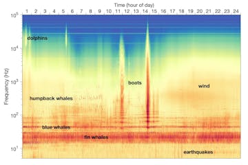 Soundscape_2 Soundscape_2