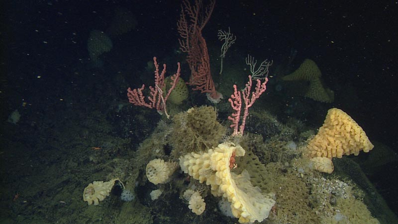 2014 Annual Report photo for Index