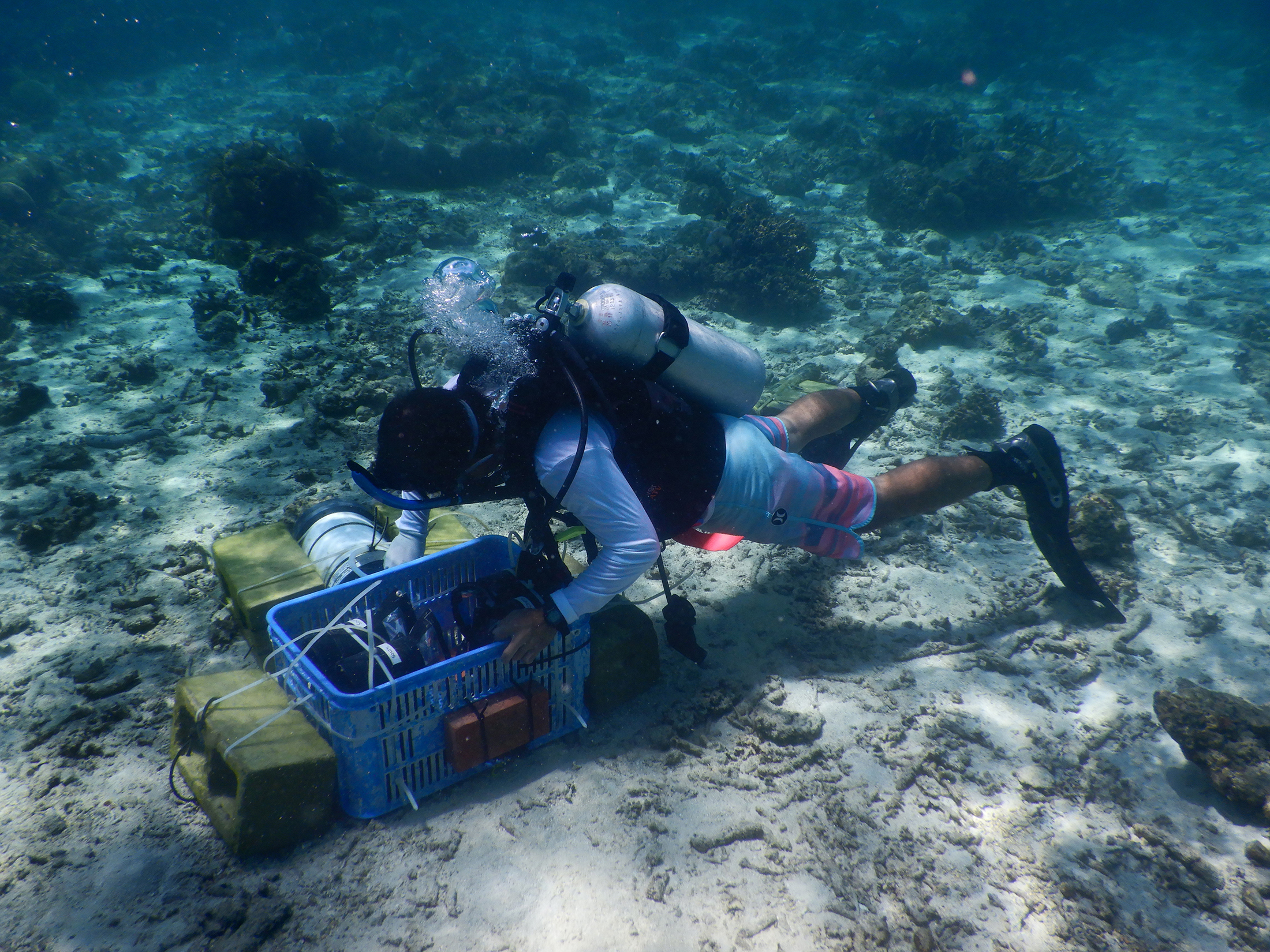 Takeshita_LIzard_Island