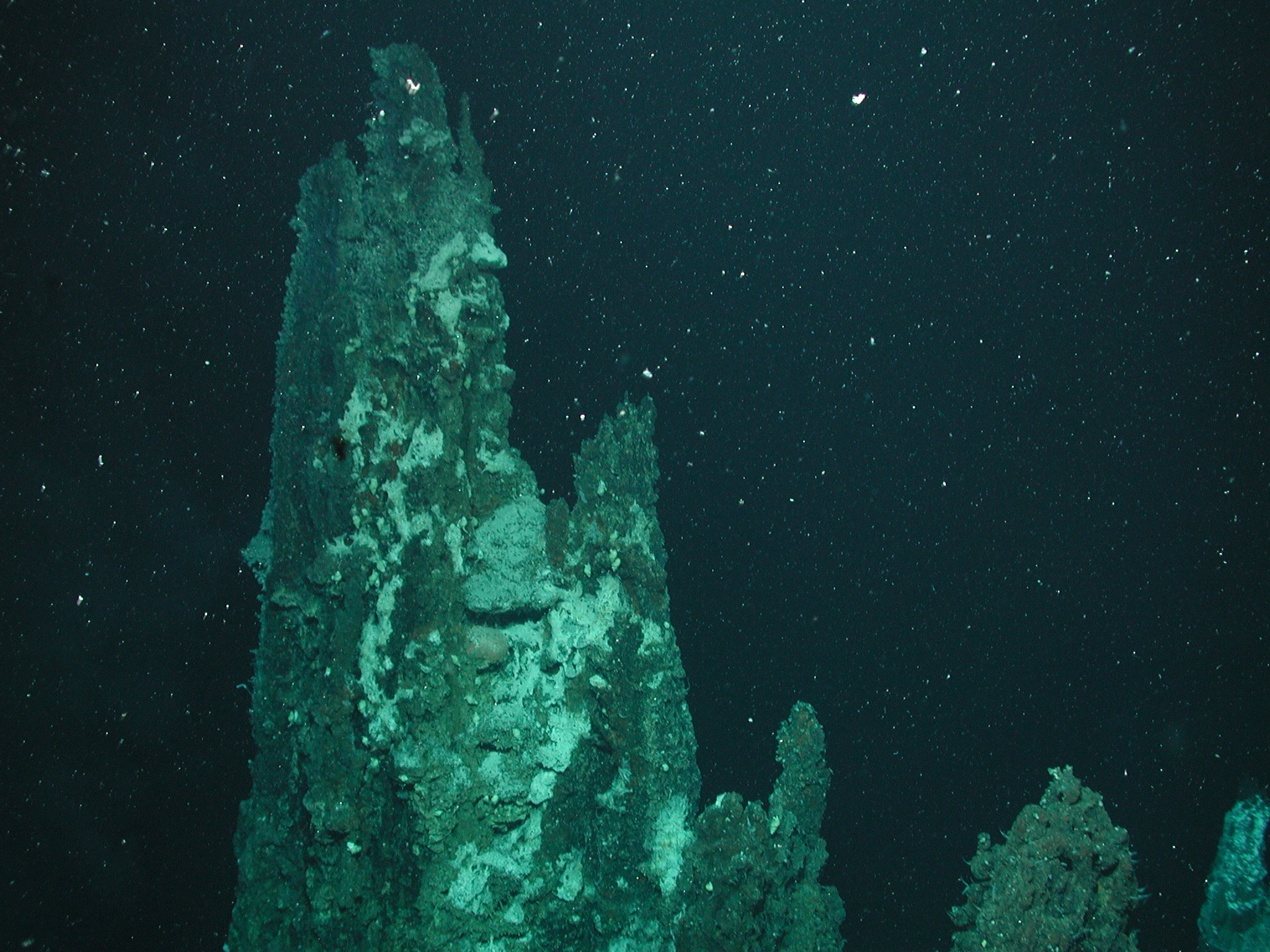 Chimney t467 DSCN4995