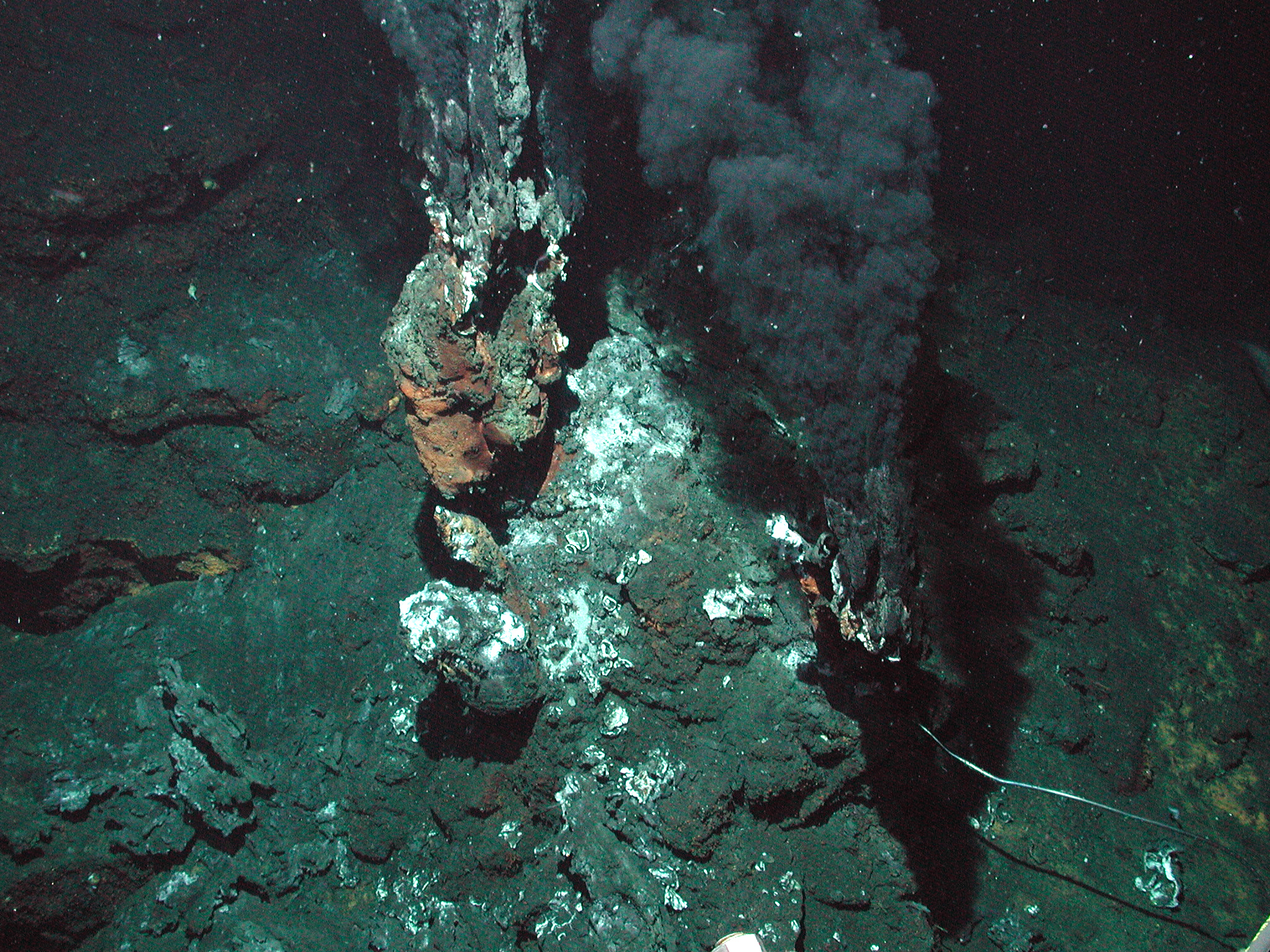 Endeavor smoker t469 DSCN5120 cc