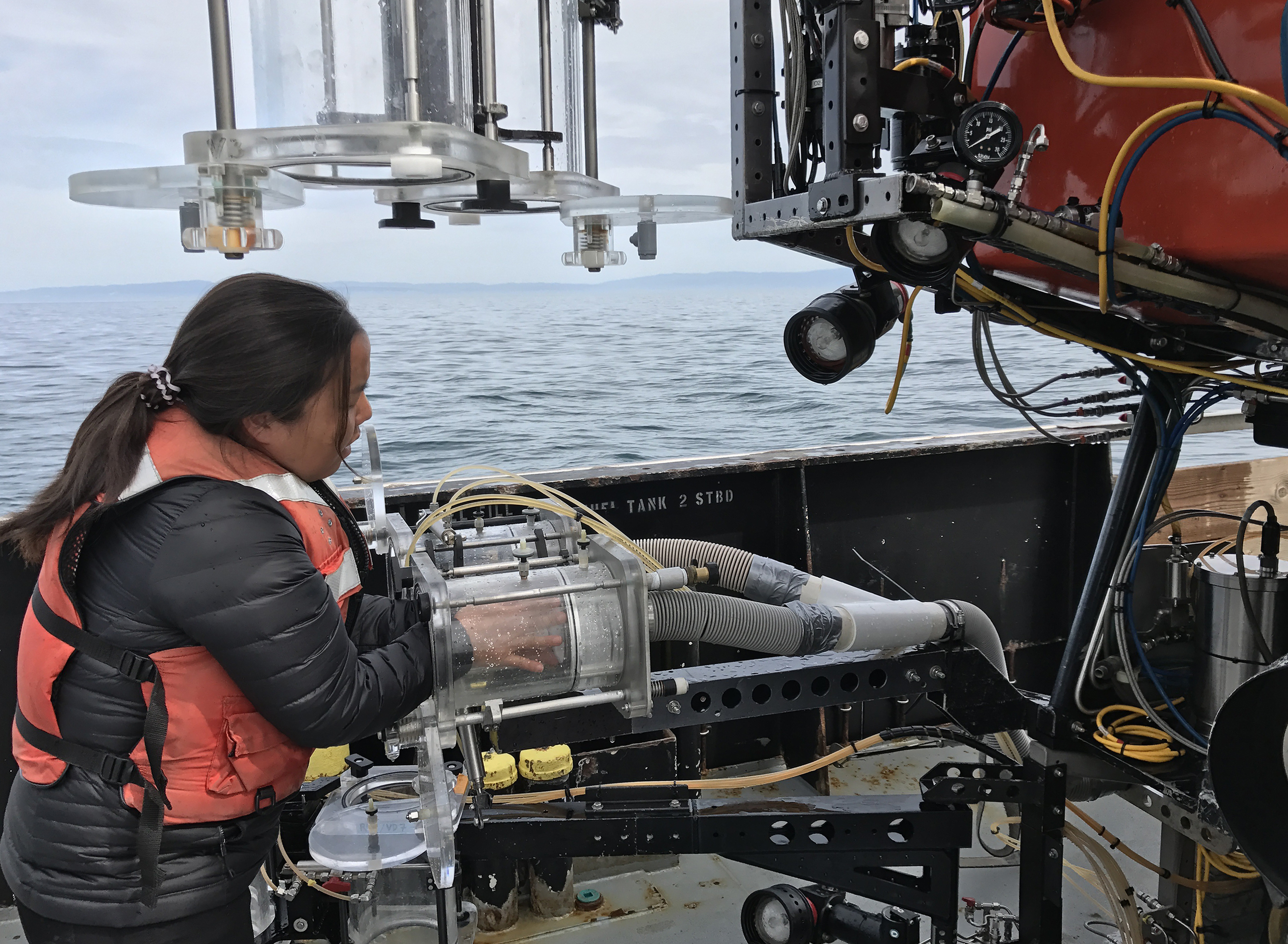 Microplastics choy anela carson straight