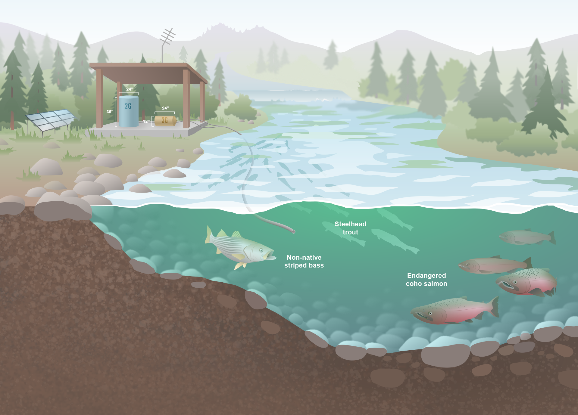 Freshwater scene cropped