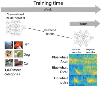 Pam_processing2_960w