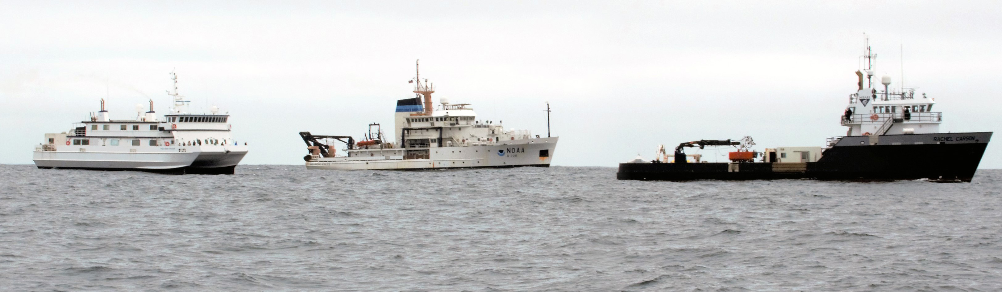 Canon Collab3 ed cropped