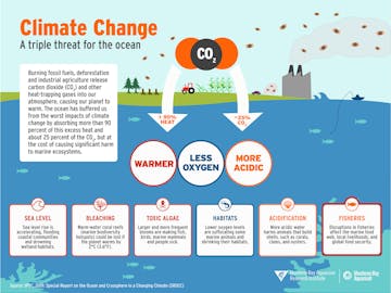 Climate change ocean infographic Climate change ocean infographic