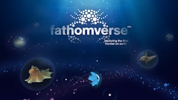Promotional artwork for the FathomVerse video game, featuring a blue background with a crab-shaped logo comprised of white circles and the text “fathomverse” with “BETA” in smaller point size to the top right and “exploring the final frontier on earth” to the bottom right. In the center are bubbles with images of marine life including, from left, an orange sea star, an orange octopus, a blue petal-shaped illustrated avatar, and a brown fish. At the bottom is a stream of pink and blue dots.