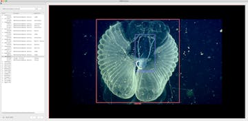 MBARI ML example 01 MBARI ML example 01