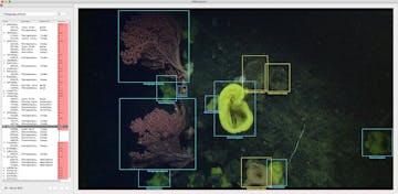 VARS Annotations for ML 1000 VARS Annotations for ML 1000