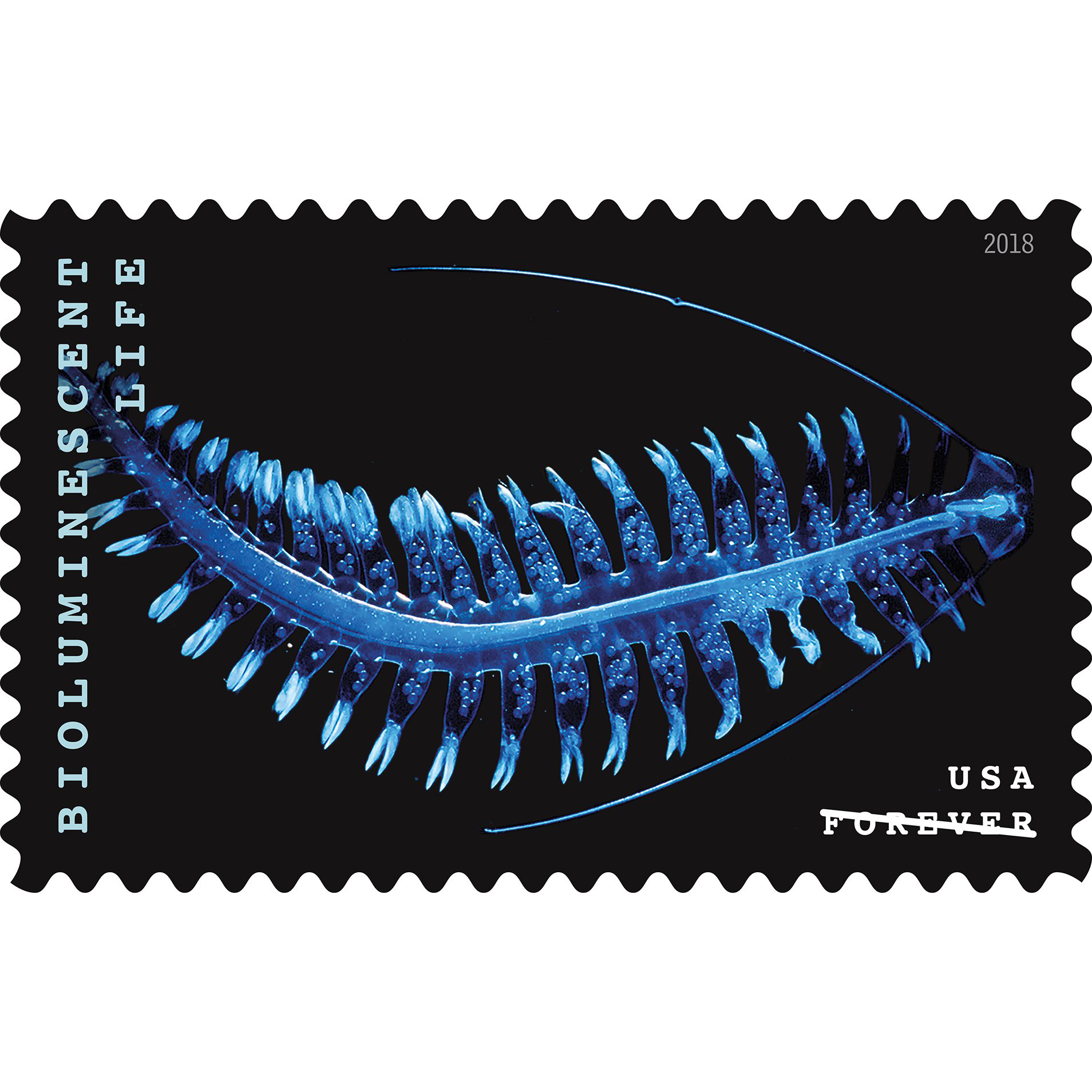 Tomoptoris-stamp_square