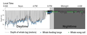Whale tag graph 705 Whale tag graph 705